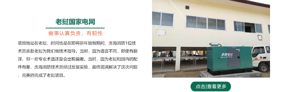 老撾國家電網(wǎng)柜式七氟丙烷滅火裝置